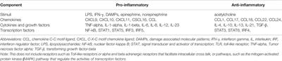 A Sedentary and Unhealthy Lifestyle Fuels Chronic Disease Progression by Changing Interstitial Cell Behaviour: A Network Analysis